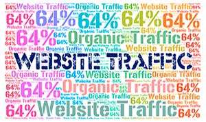 website traffic s