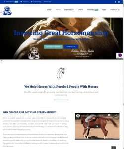 Just Say Whoa Horsemanship Website Divergent Media