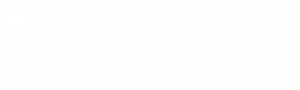 logo tnw